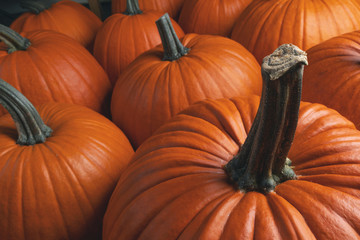 Many pumpkins background