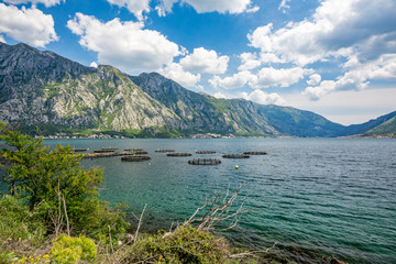 Spring daytime landscape of the fish ponds at the Kotor bay, Boka Kotorska, near the town of Perast, Montenegro