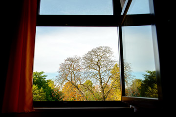 trees with autumn leafes and naked branches behind open window