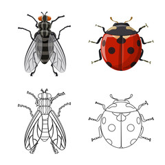 Isolated object of insect and fly sign. Set of insect and element stock vector illustration.