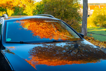 autumn leaves- reflexion on a car