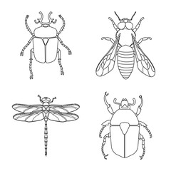 Vector design of insect and fly sign. Set of insect and element vector icon for stock.