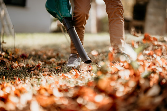 Gardener using leaf blower, vacuum and working in garden