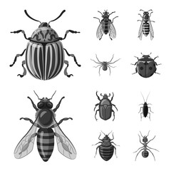 Vector illustration of insect and fly logo. Collection of insect and element vector icon for stock.