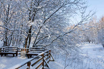 Bridge and benches in a snowy, frosty winter forest