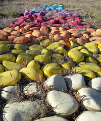 Colorful Painted Stones on the ground