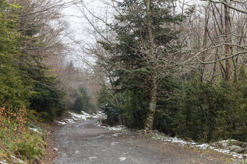 Valle de Bujaruelo, Parque Nacional de Ordesa y Monte Perdido