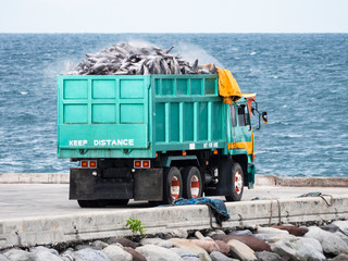 Truck loaded with tuna in Gensan City, the Philippines