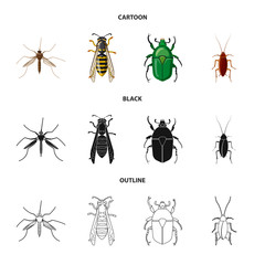 Vector illustration of insect and fly symbol. Collection of insect and element stock vector illustration.