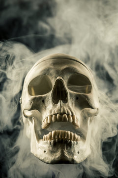 Front of real skull in abstract smoke isolated on black background.