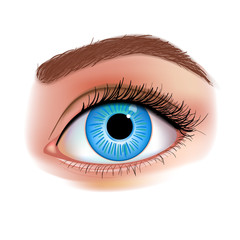 Women's Eye realistic vector illustration
