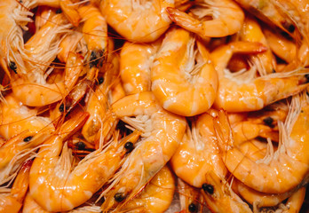 Shrimps background texture. A lot of sea shrimp or pattern of krill. Sea food like shrimp or krill on the street food festival.