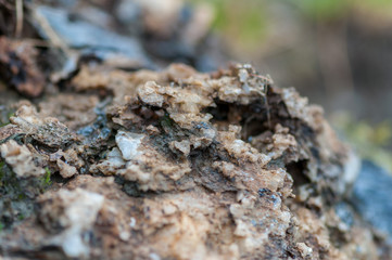 Close-up of rocks, salt and minerals. Shallow depth of field.