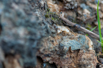 Close-up of rocks, salt and minerals. Shallow depth of field.