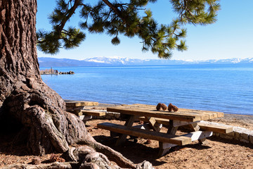 Fototapeta na wymiar Pine cone on picnic tablewith view of Lake Tahoe beach and mountain, California