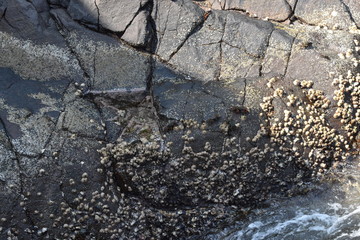 stone wall background