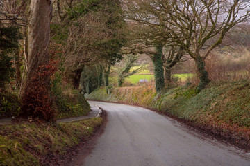 Fototapeta premium Narrow road among the hills in Devon. Classic view of a road with overhanging trees. Winter. Devon