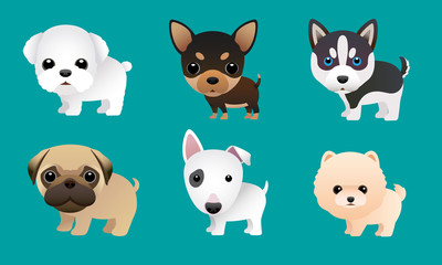Cute puppy vector set pomeranian,chivava,pug And others