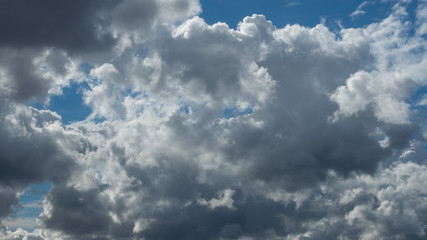 Fototapeta premium OLYMPUS DIGITAL CAMERA