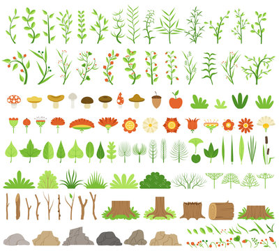 Vector illustration. Botanical collection. branches, stumps, flowers, herbs, and other natural elements.