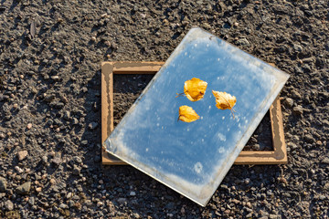 Three yellow autumn leaves on old glass