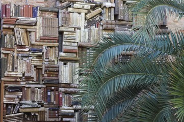 Library background - Wall with books on the street - Books textured background (Pesaro, Marche, Italy)