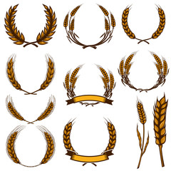Set of wheat spikelet illustrations isolated on white background. Design element for poster, card, emblem, sign, card, banner.