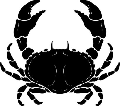 306,464 BEST Crabs IMAGES, STOCK PHOTOS & VECTORS | Adobe Stock