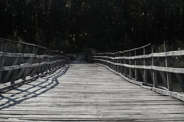 Old wooden bridge over the river in the forest