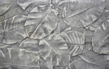 The Imprint of leaf texture on cement floor background