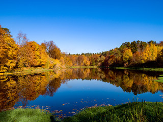 Fototapeta na wymiar Colorful autumn forest wood on the lake