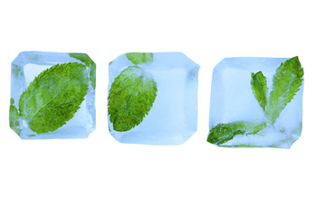 A group of mint leaves frozen in the ice. Isolated on white