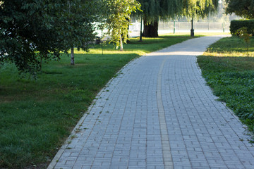 cycle paved empty narrow road path in outdoor park morning environment between trees 