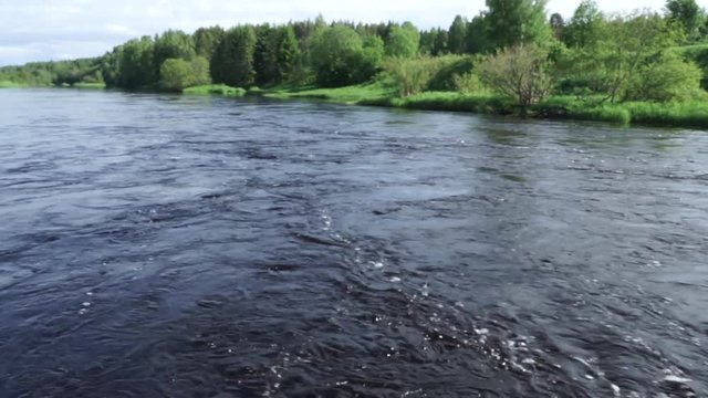 Forest river flows in summer