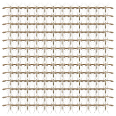 Moth, Lepidoptera, in repeated pattern, in front of white background