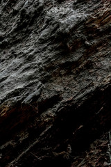 Close up of aged firewood.