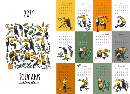 Toucans, calendar 2019 design