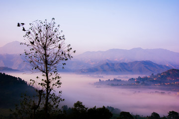 Village land covered by fog