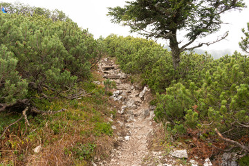 Fototapeta premium Katrin Salzkammergut Walking