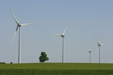  energie naturel culture eolienne renouvelable environnement vert