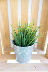 The green grass in metal pot for interior.