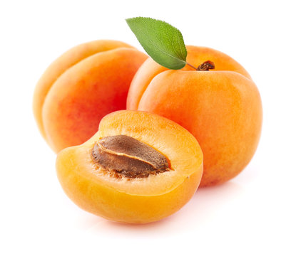 Fresh apricot fruit in closeup