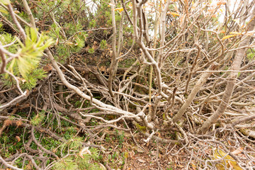 Katrin Salzkammergut Walking