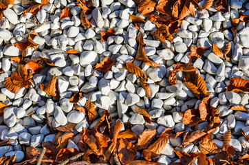 Autumn leaves on pebble beach top view texture