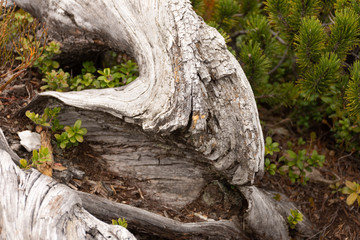 Katrin Salzkammergut Walking