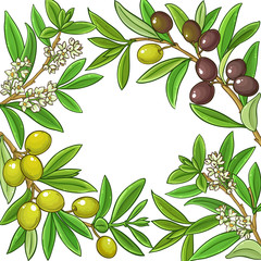 olive vector frame