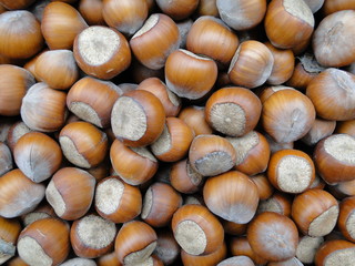 Raw Hazelnuts Background