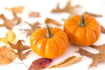 Pumpkins with autumn leaves isolated on white background