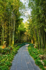 Wangjiang Pavilion in Wangjianglou park. Chengdu, Sichuan, China