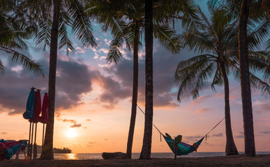 Tropical Hammock in Paradise at Sunset
